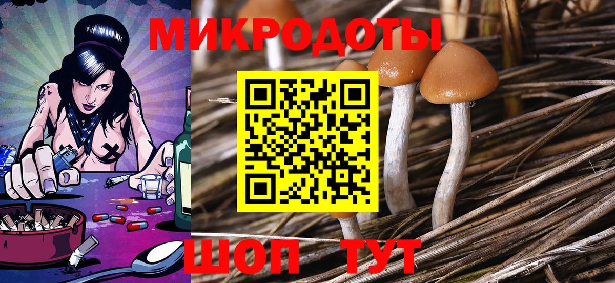 Галлюциногенные грибы Psilocybe  Вход с VPN  Псилоцибиновые грибы GOLDEN TEACHER  Новороссийск 